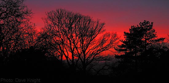 Devon sunset