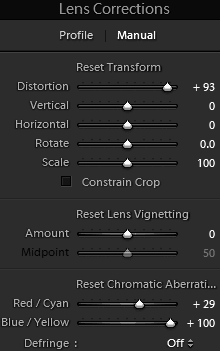 Lightroom lens correction interface
